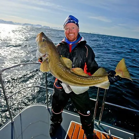 Lyngen Experience Ξενοδοχείο με διαμερίσματα *