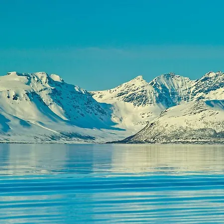 Apart-hotel Lyngen Experience
