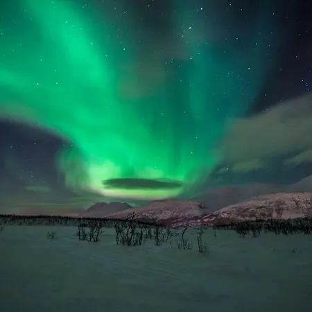 Lyngen Experience *