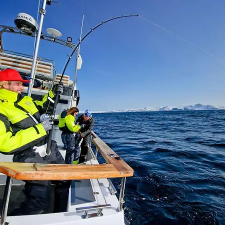 Apart-hotel Lyngen Experience *